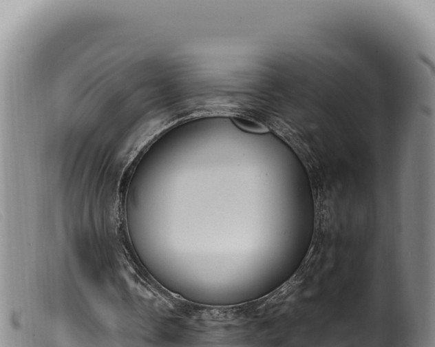 X0000099550338200805231156