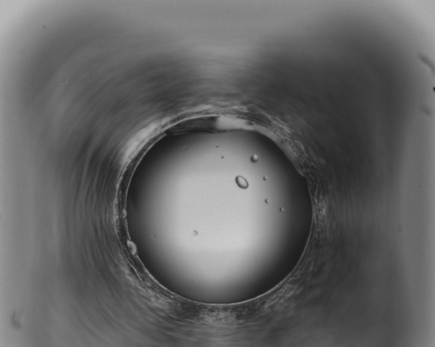 X0000099550340200805231157