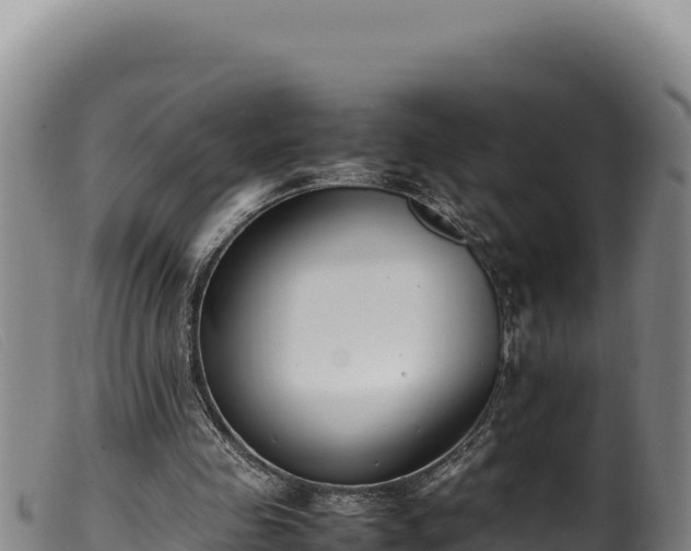 X0000099550341200805231157