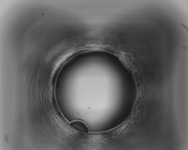 X0000099550342200805231157