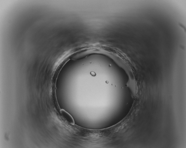 X0000099550344200805231157