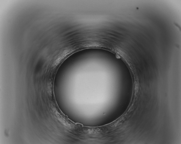 X0000099550345200805231157