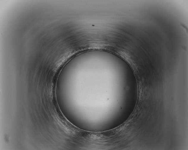 X0000099550346200805231157