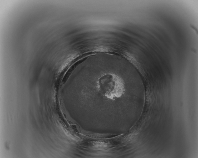 X0000099550347200805231157