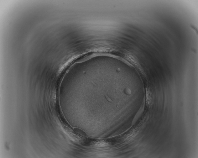 X0000099550348200805231157