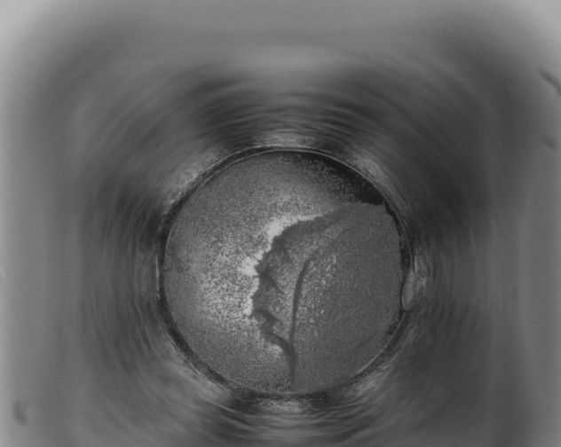 X0000099550349200805231157