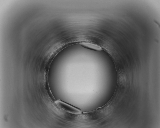 X0000099550350200805231157