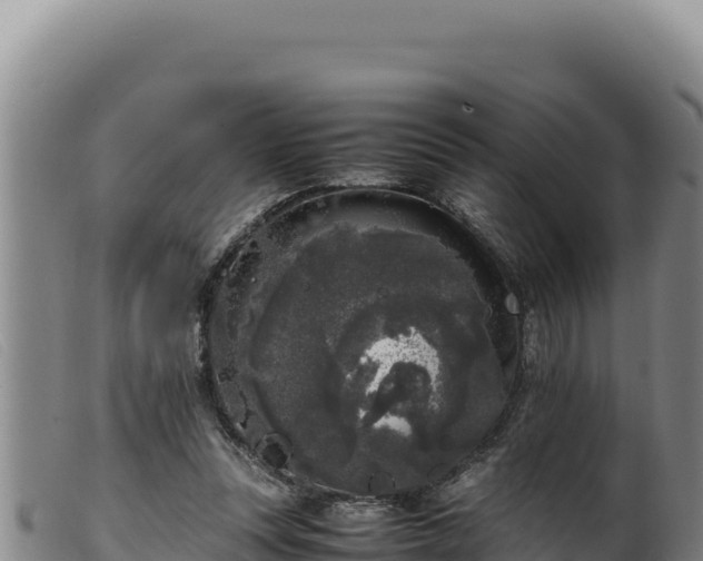 X0000099550351200805231157