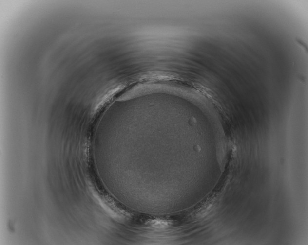 X0000099550352200805231157