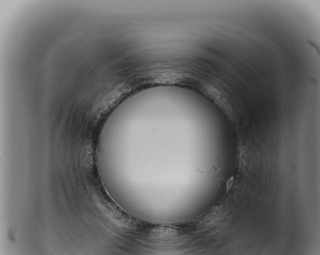 X0000099550354200805231157