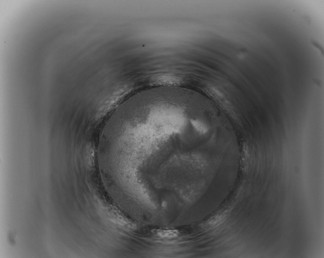 X0000099550355200805231157