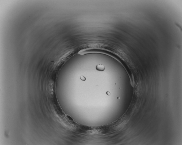 X0000099550356200805231157