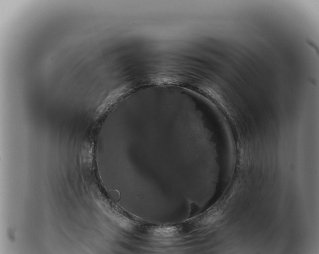 X0000099550357200805231157