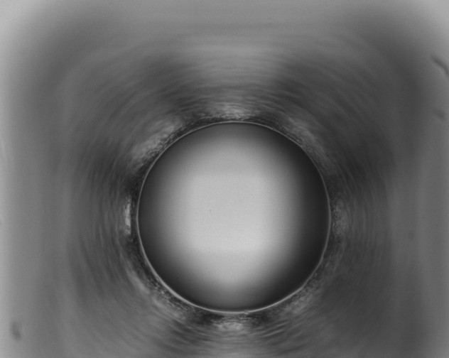 X0000099550358200805231157