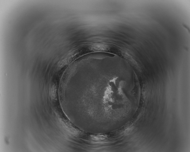 X0000099550359200805231157