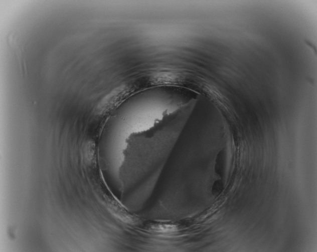 X0000099550361200805231157