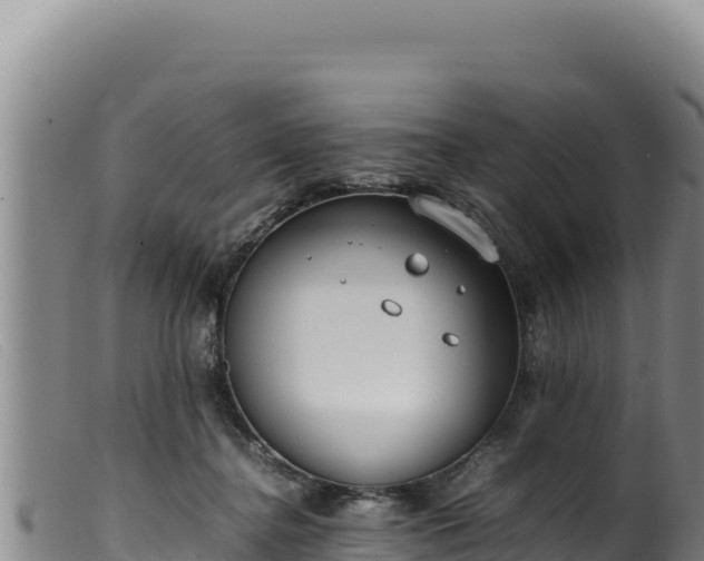 X0000099550364200805231157