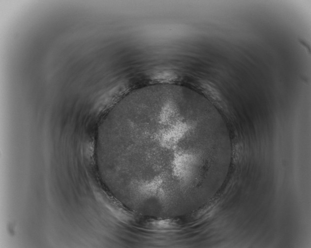 X0000099550365200805231157