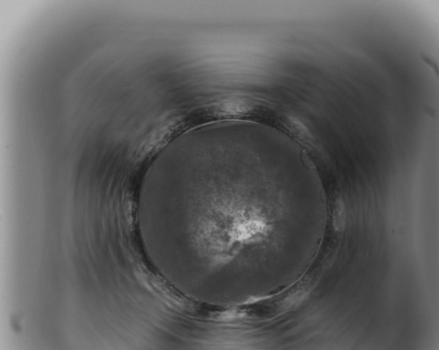 X0000099550366200805231157