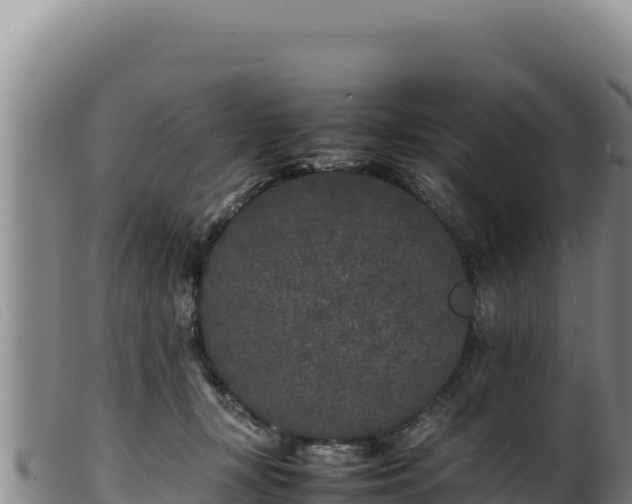 X0000099550367200805231157