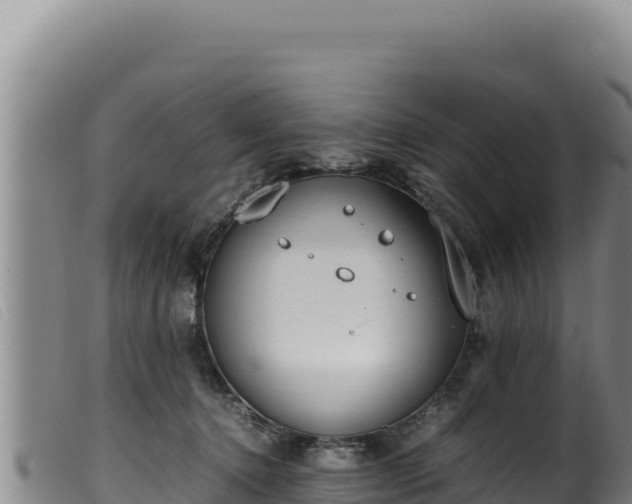 X0000099550368200805231157