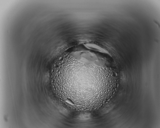 X0000099550369200805231157