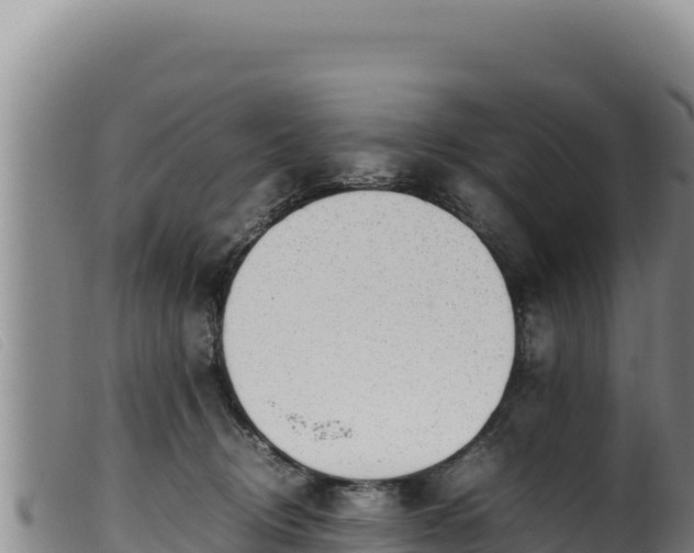 X0000099550370200805231157