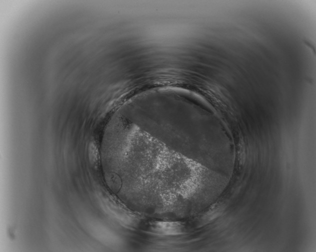 X0000099550371200805231157