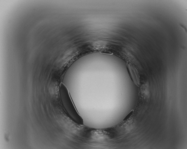 X0000099550372200805231157