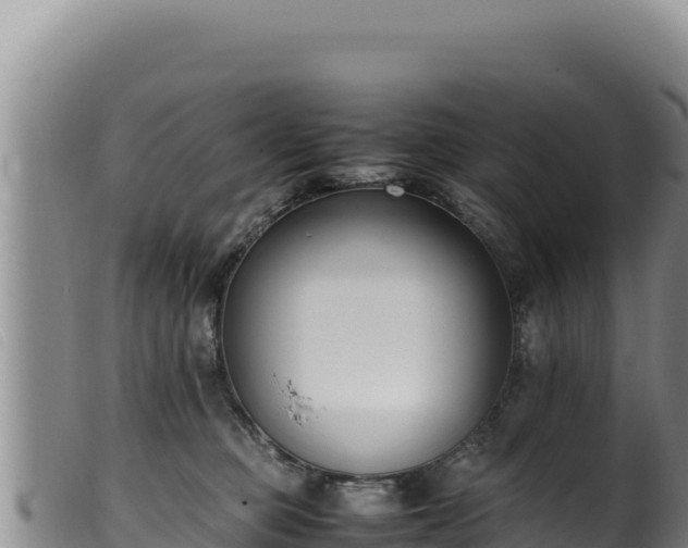 X0000099550373200805231157