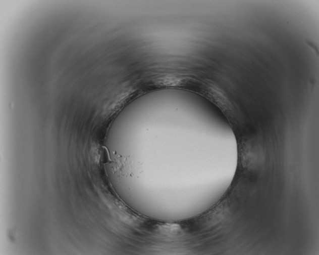 X0000099550374200805231157