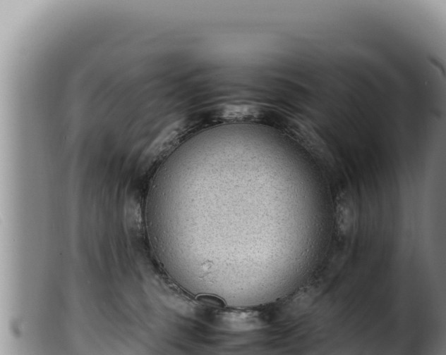 X0000099550375200805231157