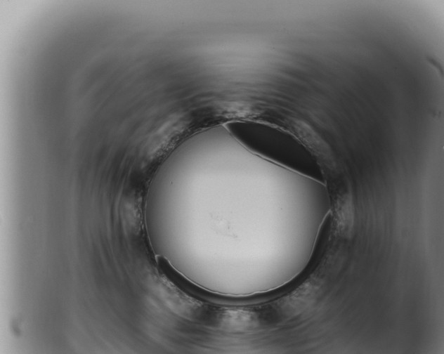 X0000099550376200805231157