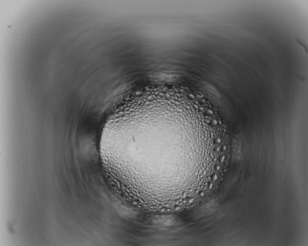 X0000099550377200805231157