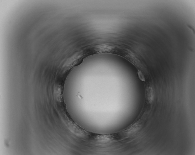 X0000099550378200805231157