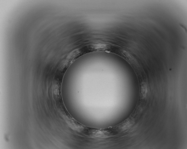 X0000099550379200805231157