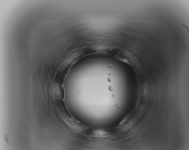 X0000099550380200805231157