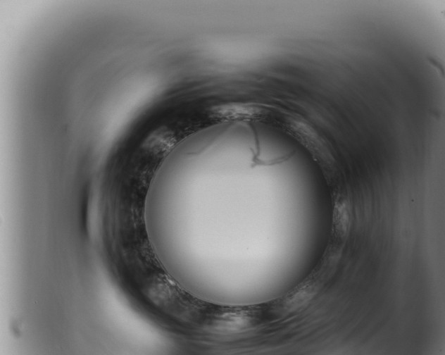 X0000099550381200805231157