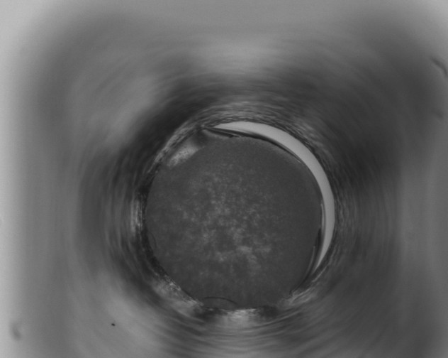 X0000099550382200805231157