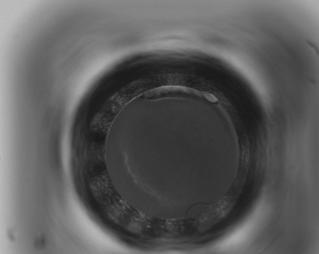 X0000099550383200805231157