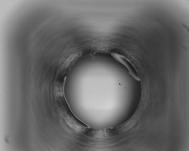 X0000099550384200805231157