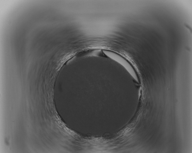 X0000099550385200805231156