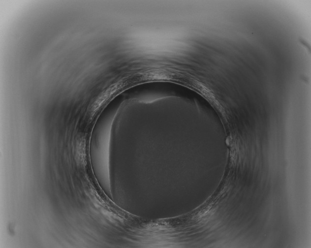 X0000099550386200805231156