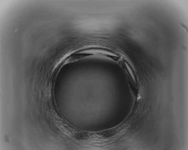 X0000099550387200805231156