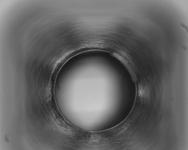 X0000099550388200805231156