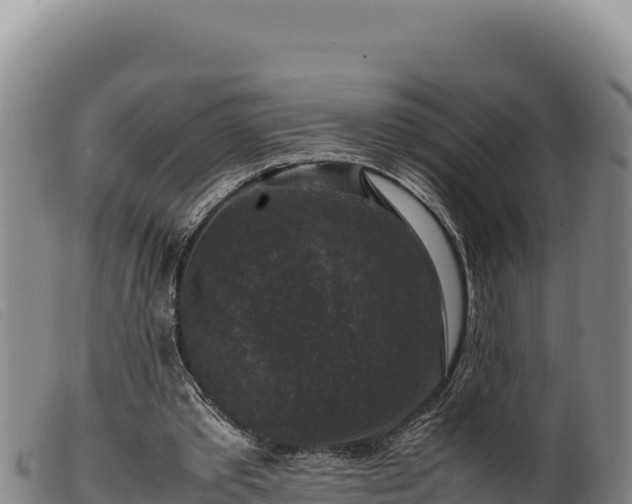 X0000099550389200805231156