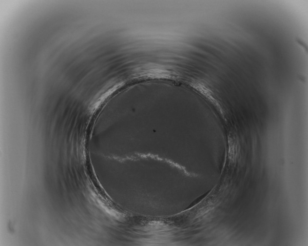 X0000099550390200805231156