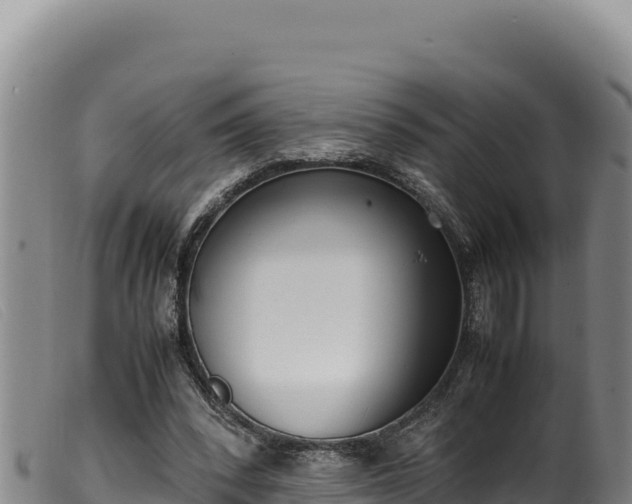 X0000099550392200805231156