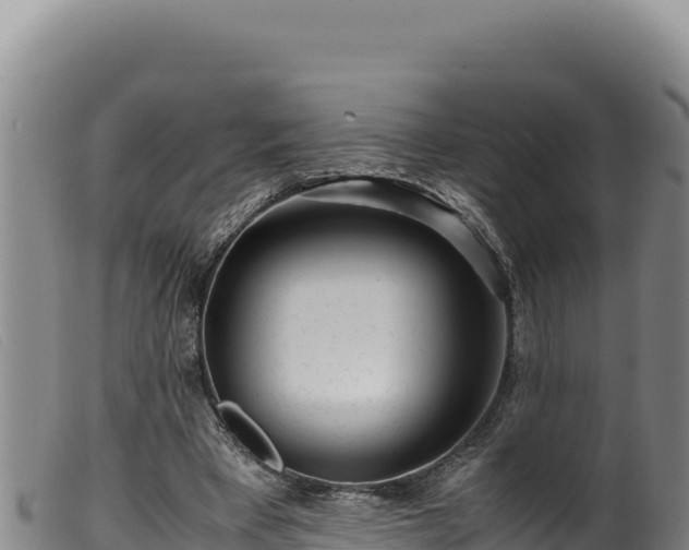 X0000099550393200805231156