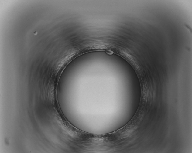 X0000099550394200805231156